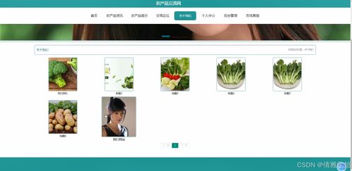 農產品交流網 基于Java的計算機畢業設計全流程探索